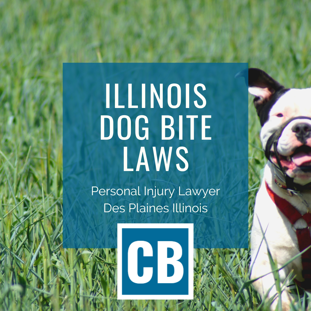 Personal Injury Lawyer Des Plaines Illinois Dog Bite Laws Carlson